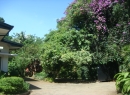 Kandy House for sale/rent